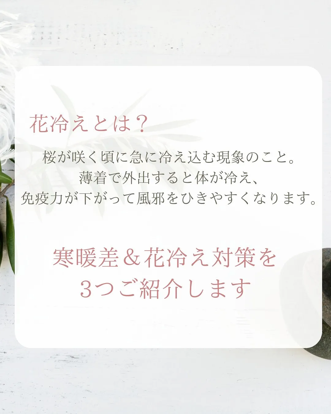 🌸 春の寒暖差、体調崩してない？簡単にできる対策3選🌸