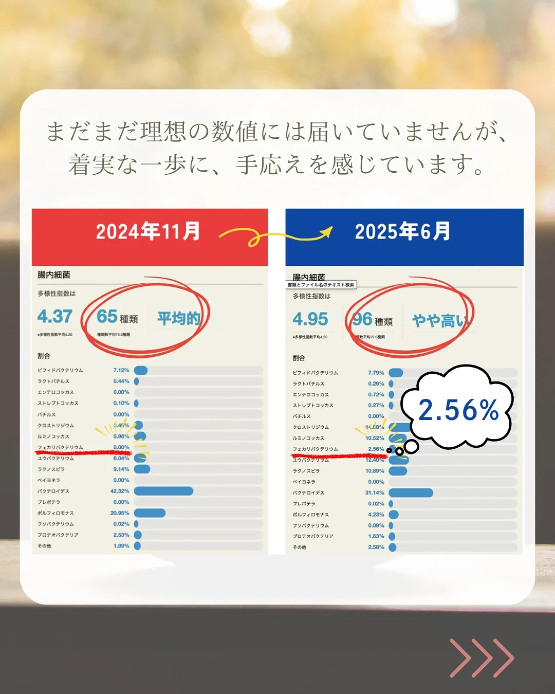 腸活したいけど、お酒もゆずれないあなたへ🍷