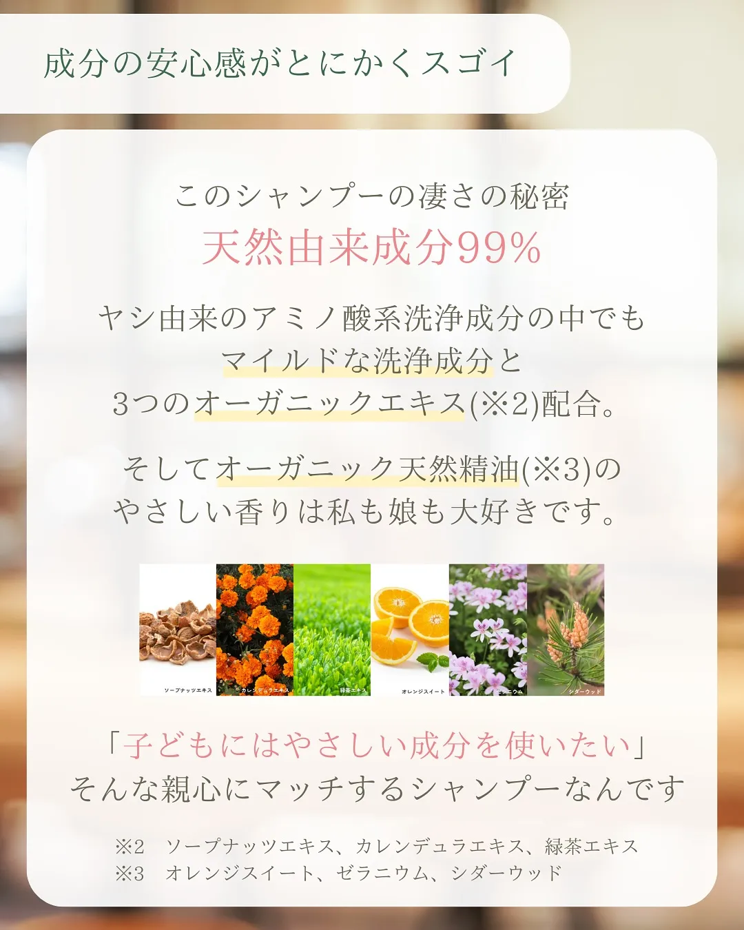 子どものシャンプー問題、どうしてますか?