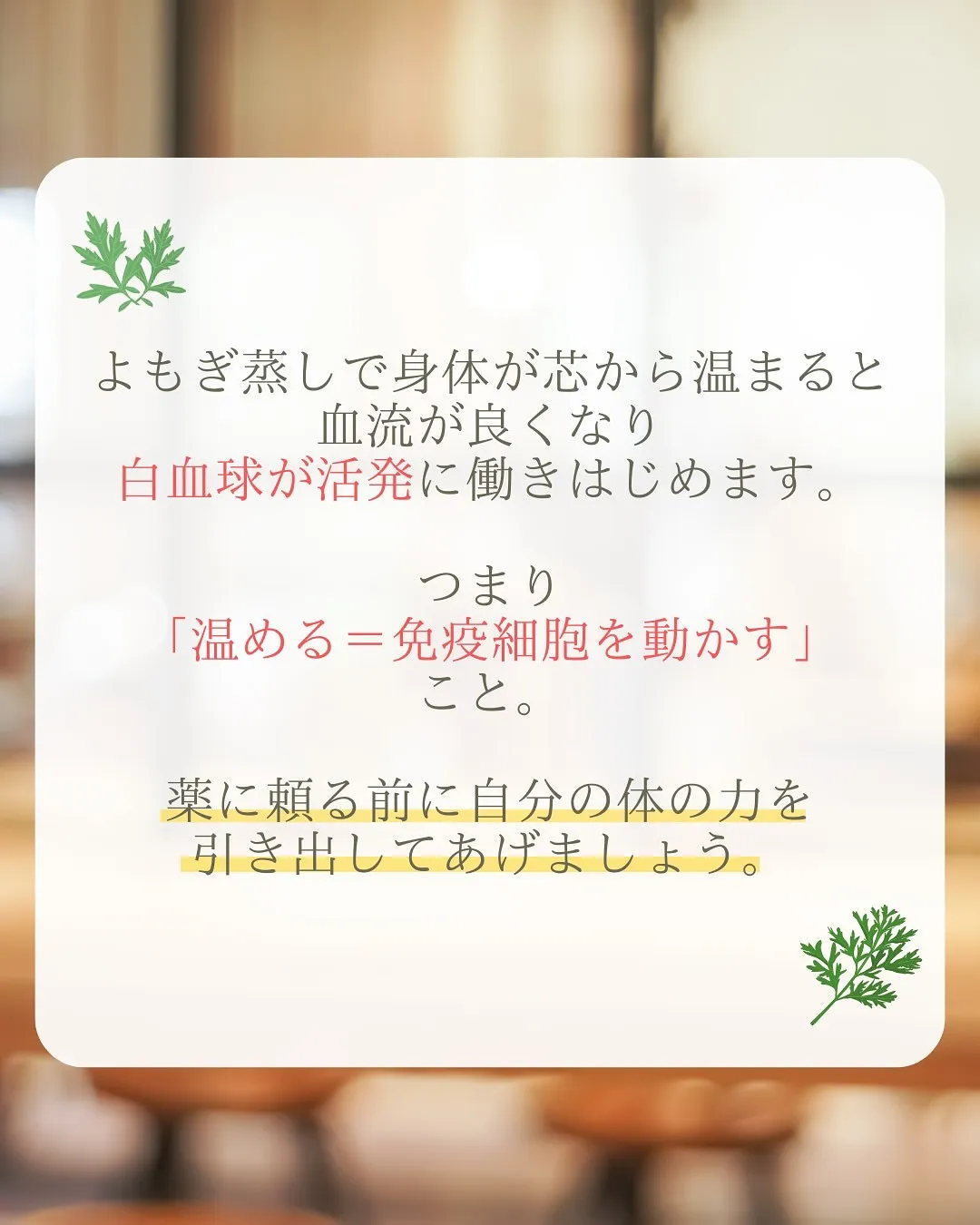 ＼風邪をひく前に、“免疫力の貯金”を／