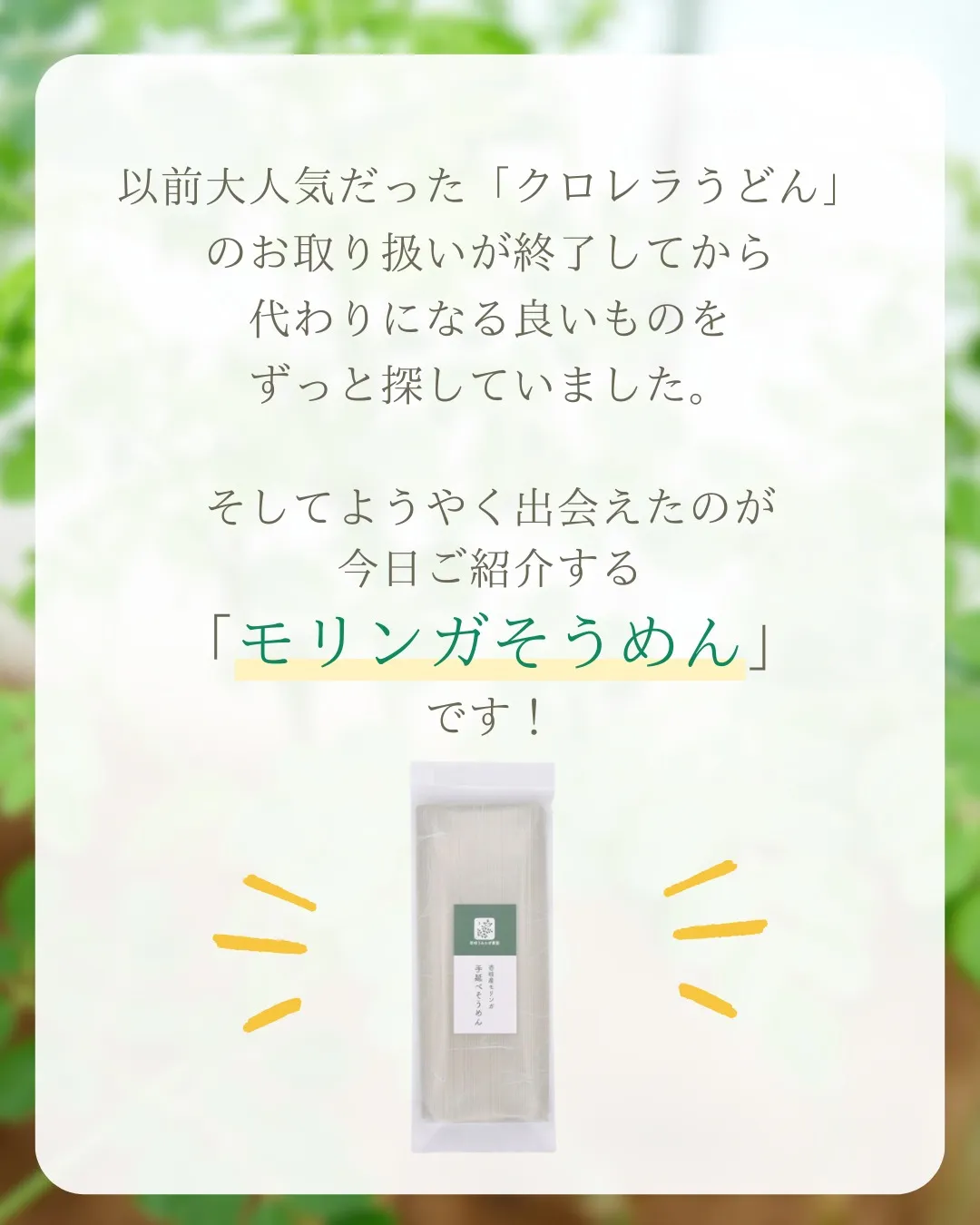 ✨新発売✨モリンガそうめん!