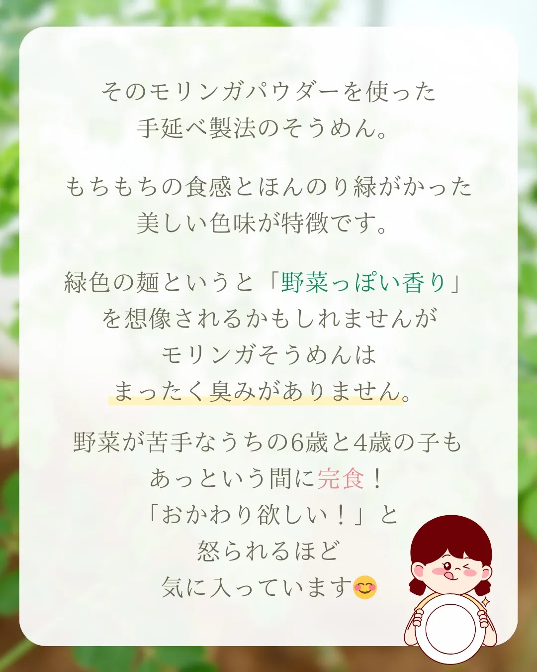 ✨新発売✨モリンガそうめん!