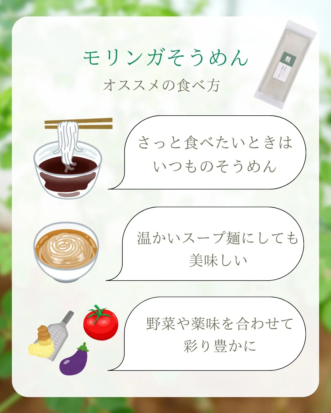 ✨新発売✨モリンガそうめん!