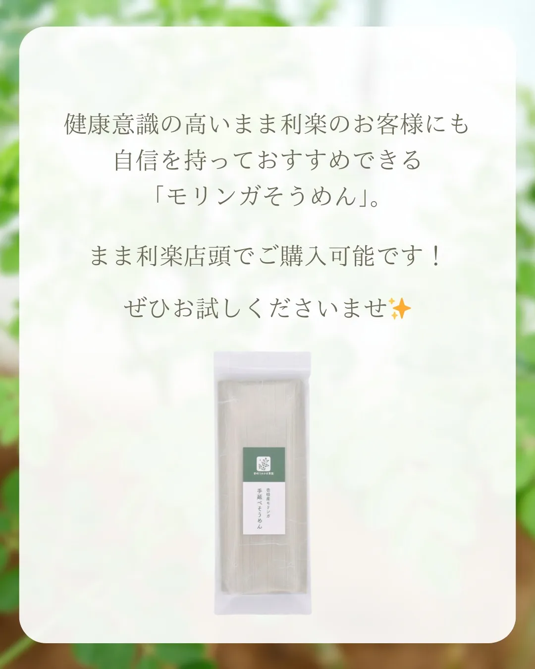✨新発売✨モリンガそうめん!